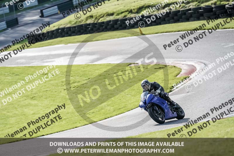 cadwell no limits trackday;cadwell park;cadwell park photographs;cadwell trackday photographs;enduro digital images;event digital images;eventdigitalimages;no limits trackdays;peter wileman photography;racing digital images;snetterton;snetterton no limits trackday;snetterton photographs;snetterton trackday photographs;trackday digital images;trackday photos